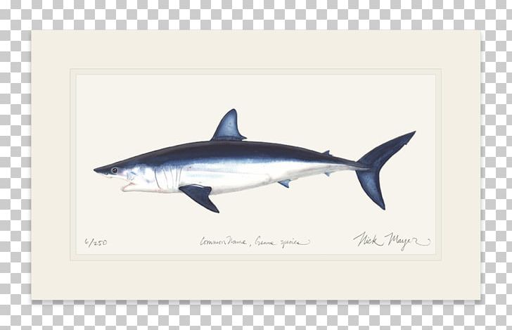 Great White Shark Isurus Oxyrinchus International Game Fish Association Fin PNG, Clipart, Cartilaginous Fish, Chars, Fauna, Fin, Fish Free PNG Download