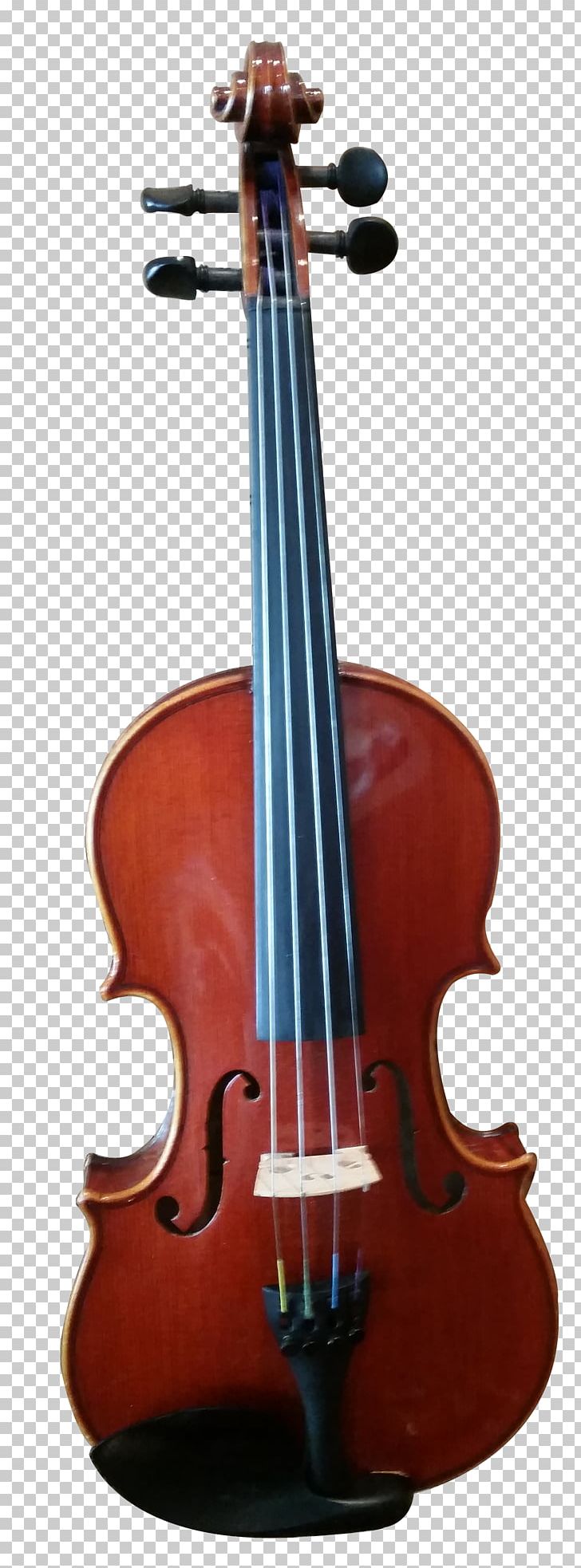 Violin Musical Instruments Viola String Instruments Cello PNG, Clipart, Acoustic Electric Guitar, Bass Guitar, Bass Violin, Bow, Bowed String Instrument Free PNG Download