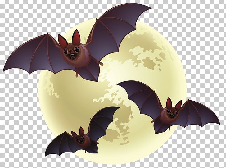 Creepy Bats Halloween PNG, Clipart, Halloween, Holidays Free PNG Download