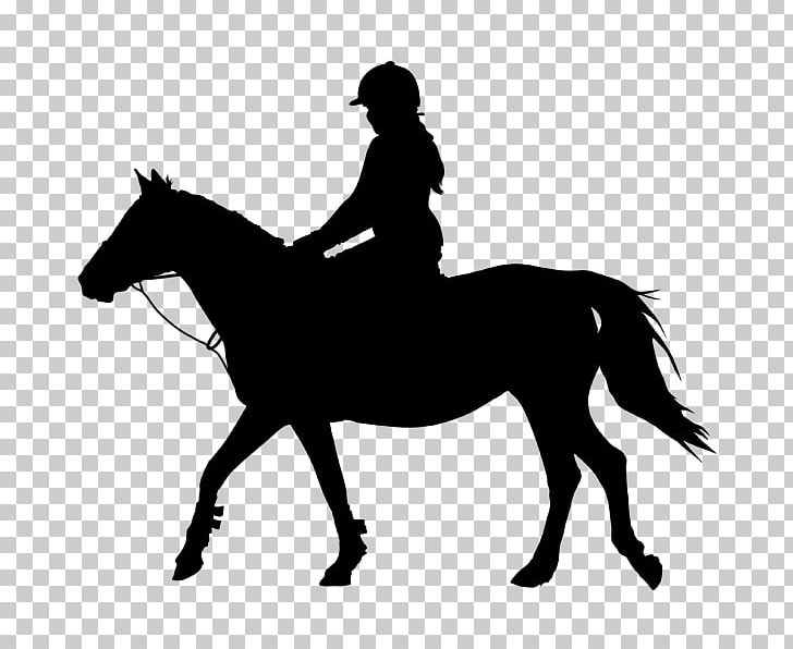 Horse&Rider Equestrian Silhouette PNG, Clipart, Animals, Bit, Black And White, Bridle, Colt Free PNG Download