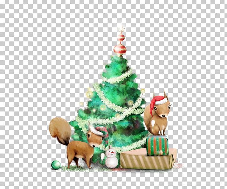Christmas Tree Ded Moroz Squirrel PNG, Clipart, Advent Wreath, Carnivoran, Christmas Decoration, Christmas Frame, Christmas Lights Free PNG Download