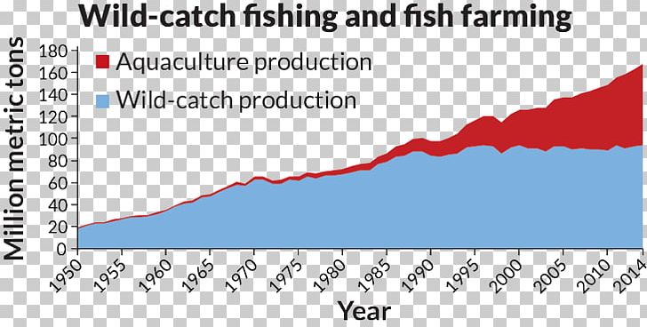 Fish Farming Chart Aquaculture Fishing Agriculture PNG, Clipart, Agriculture, Angle, Aquaculture, Aquaculture Of Salmonids, Area Free PNG Download