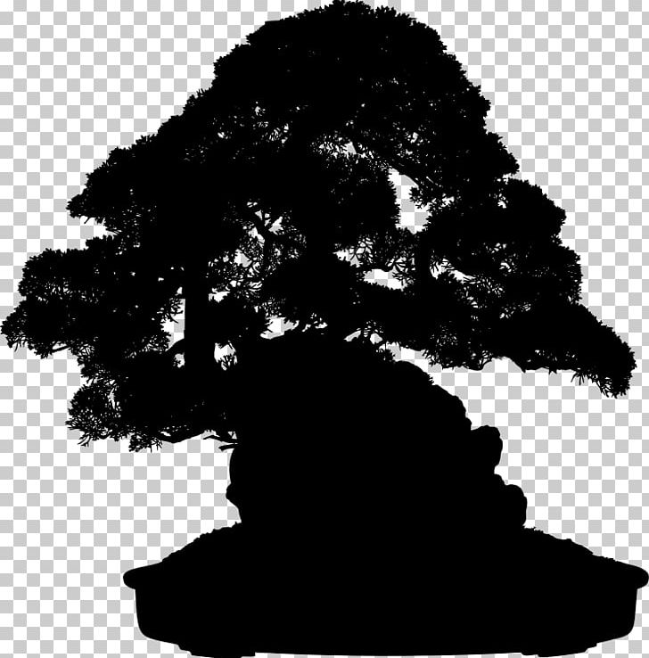 Indoor Bonsai Tree Gardening PNG, Clipart, 300 Dpi, Black And White, Bonsai, Container Garden, Dpi Free PNG Download