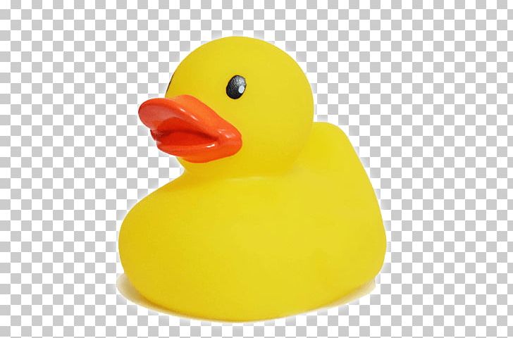 Rubber Duck Debugging Natural Rubber Yellow PNG, Clipart, Animals, Bathtub, Beak, Bird, Color Free PNG Download