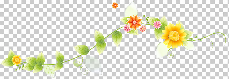 Flower Border Flower Background PNG, Clipart, Blossom, Branch, Flower, Flower Background, Flower Border Free PNG Download