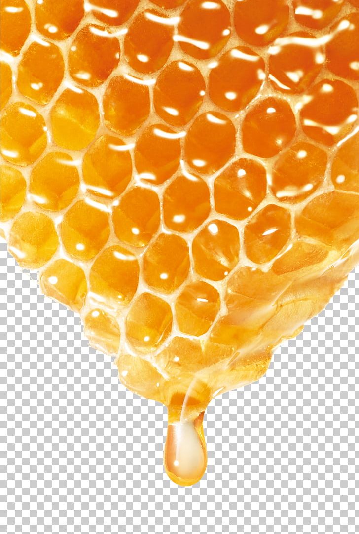 Bee Honey PNG, Clipart, Bee, Bee Honey, Bees Honey, Bumper, Computer Icons Free PNG Download