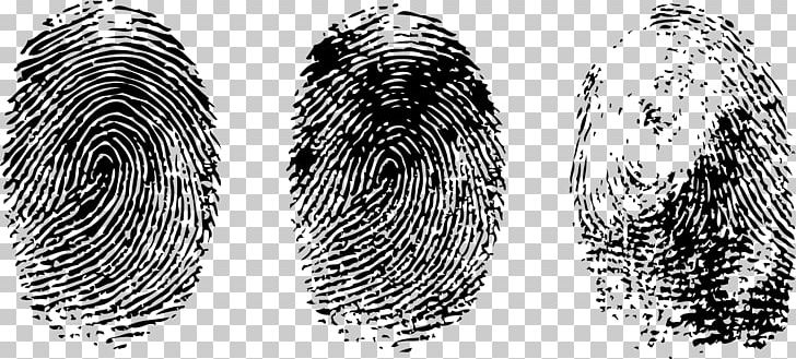 Fingerprint Thumb PNG, Clipart, Automotive Tire, Black And White, Dactiloscopie, Digit, Digital Image Free PNG Download