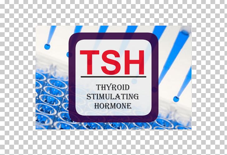 Thyroid-stimulating Hormone ELISA Follicle-stimulating Hormone PNG, Clipart, Antibody, Assay, Blood Plasma, Blue, Brand Free PNG Download