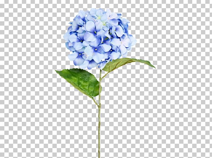 Cut Flowers Hydrangea Floral Design Lilac PNG, Clipart, Blue, Cornales, Cut Flowers, Floral Design, Flower Free PNG Download