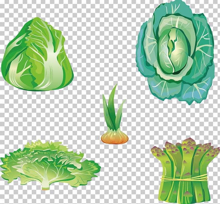 Leaf Vegetable Food PNG, Clipart, Cartoon, Designer, Five, Five Vector, Flower Free PNG Download
