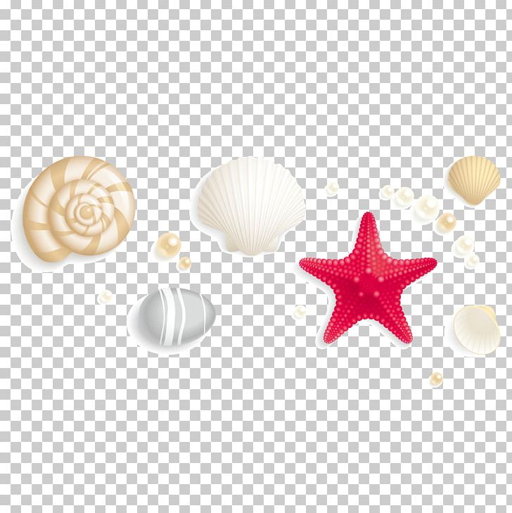 Seashell Stock Photography PNG, Clipart, Animals, Beach, Cartoon Starfish, Clip Art, Drawing Free PNG Download