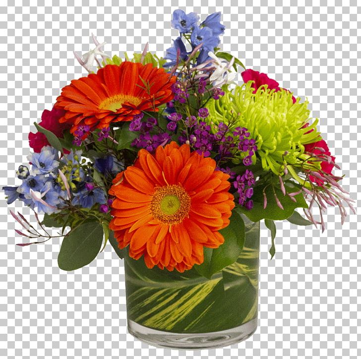 Transvaal Daisy Floral Design Cut Flowers Flower Bouquet PNG, Clipart,  Free PNG Download
