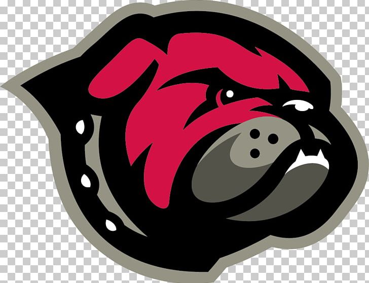 University Of Montana Western Montana Western Bulldogs Football Montana Western Bulldogs Men's Basketball University Of Providence PNG, Clipart, American Football, Athletic Director, Basketball, Carnivoran, College Free PNG Download