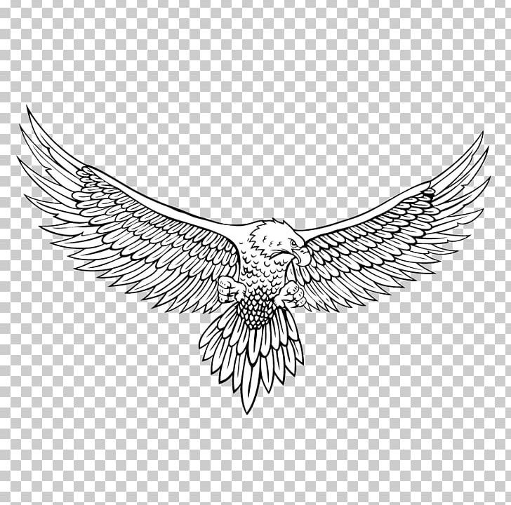 Bald Eagle Drawing Line Art PNG, Clipart, Animals, Art, Beak, Bird, Bird Of Prey Free PNG Download