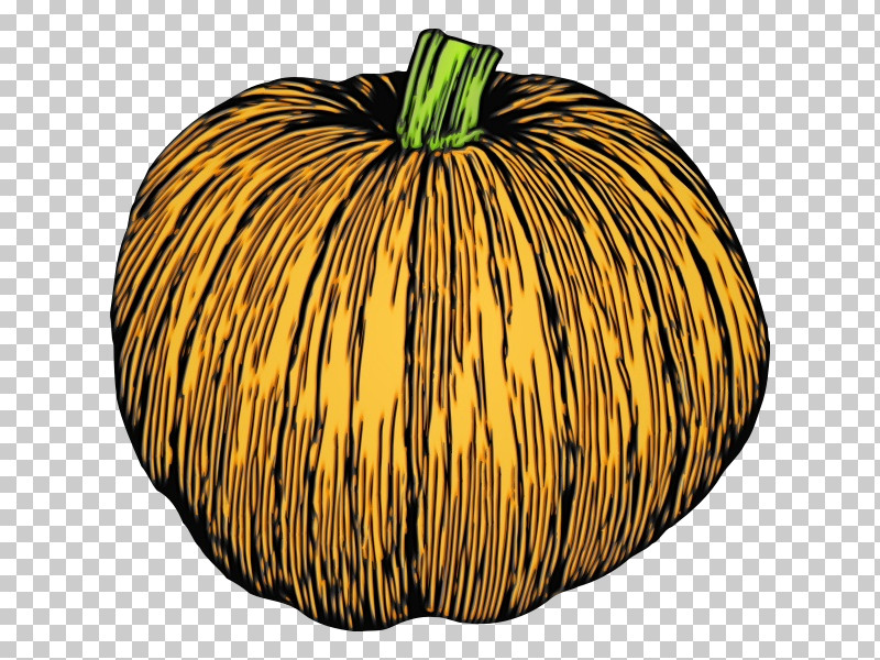 Pumpkin PNG, Clipart, Field Pumpkin, Fruit, Gourd, Jackolantern, Paint Free PNG Download
