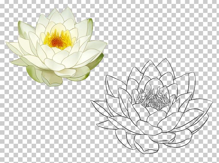 Nelumbo Nucifera Painting Illustration PNG, Clipart, Chinese Painting, Dahlia, Euclidean Vector, Flora, Floral Design Free PNG Download