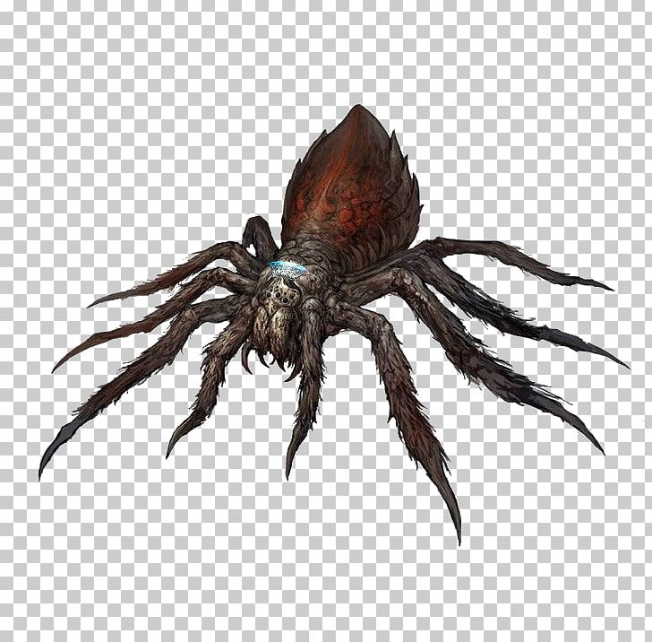Rift Gamma World Role-playing Game Dungeons & Dragons PNG, Clipart, Arachnid, Araneus, Art, Arthropod, Board Game Free PNG Download