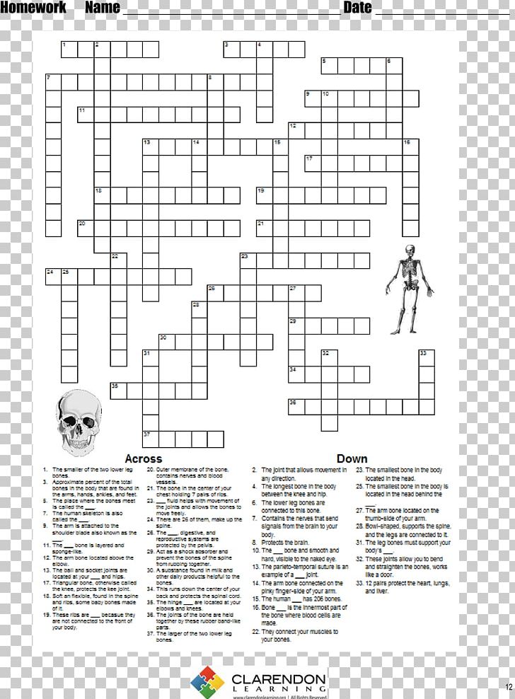 Human Skeleton Lesson Plan Homo Sapiens Worksheet PNG, Clipart, Angle, Area, Black And White, Bone, Diagram Free PNG Download