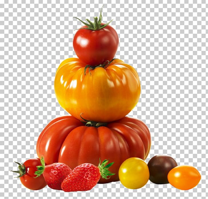 Plum Tomato Savéol Bush Tomato Plougastel-Daoulas PNG, Clipart, Bush Tomato, Diet Food, Food, Fruit, Local Food Free PNG Download