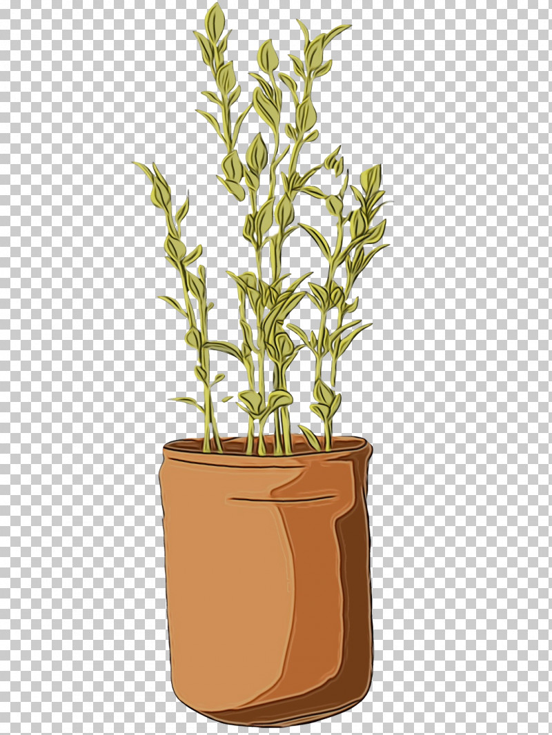 Plant Stem Herb Flowerpot Tree Plants PNG, Clipart, Biology, Flowerpot, Herb, Paint, Plants Free PNG Download