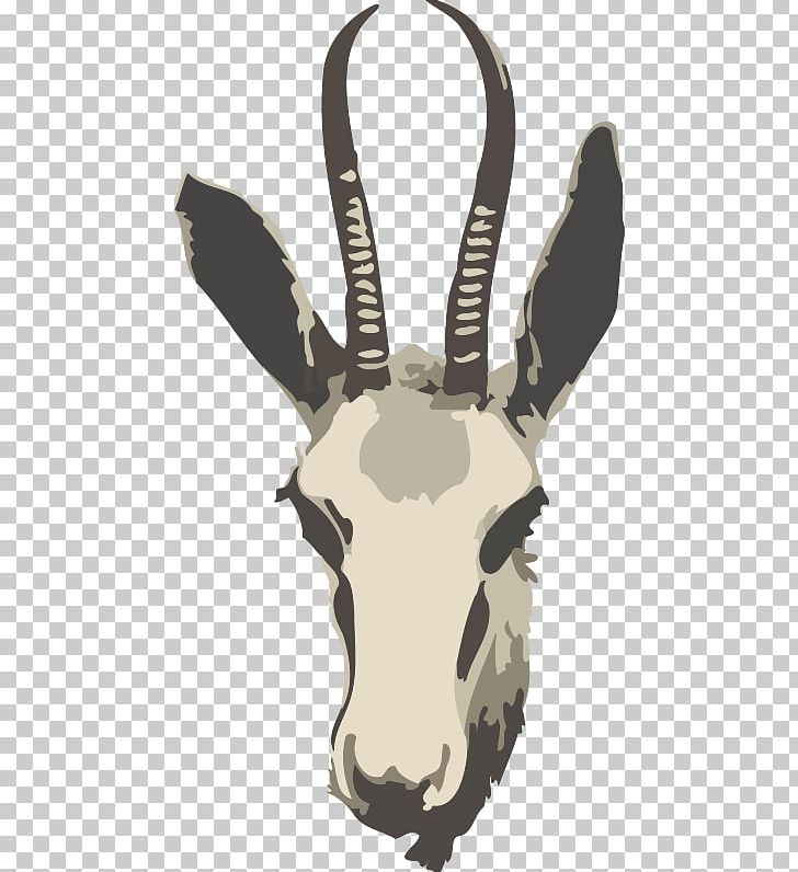 Springbok Gazelle Impala Antelope PNG, Clipart, Antelope, Antler, Cattle Like Mammal, Clip Art, Computer Icons Free PNG Download