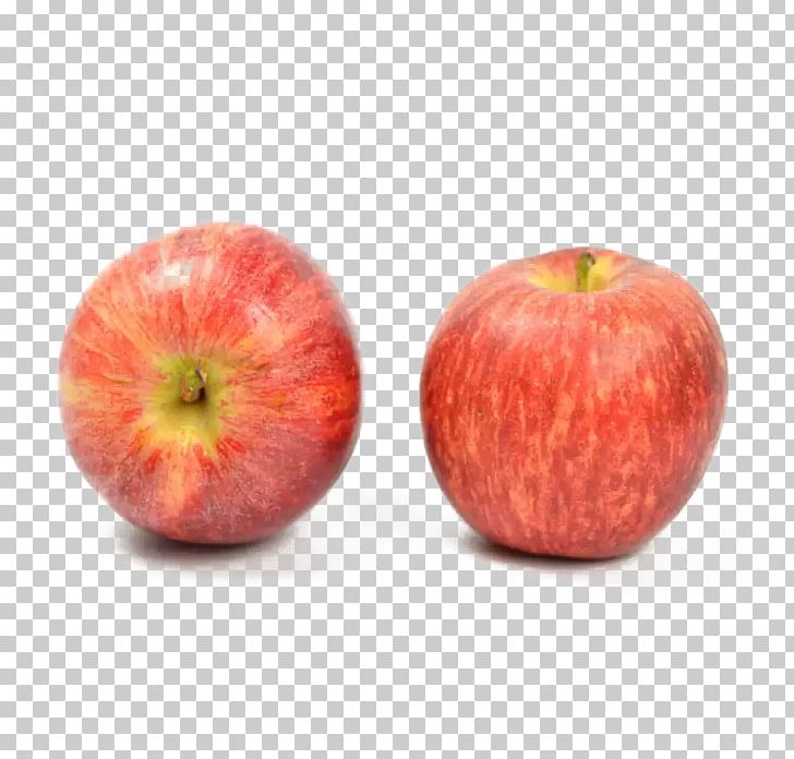 Apple PNG, Clipart, Apple, Apple Fruit, Apple Ii Series, Apple Logo, Apple Tree Free PNG Download