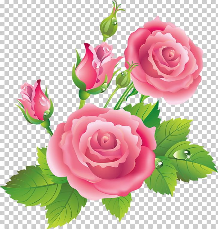 Garden Roses Centifolia Roses Blue Rose PNG, Clipart, Artificial Flower, Beautiful Rose, Centifolia Roses, Cut Flowers, Decoupage Free PNG Download