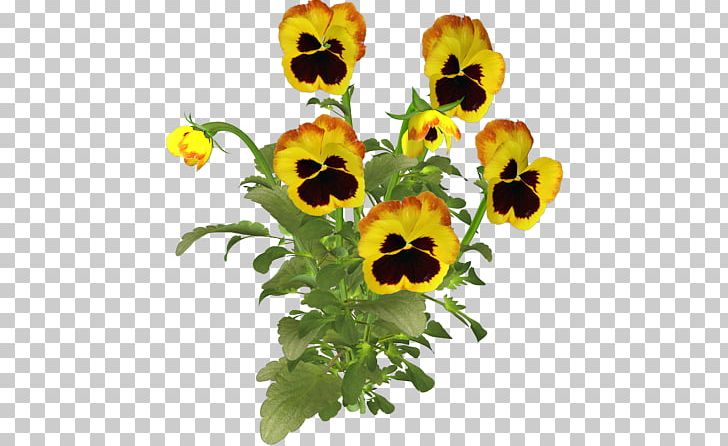 Pansy PNG, Clipart, Animated Film, Annual Plant, Cut Flowers, Daisy Family, Fleur Free PNG Download