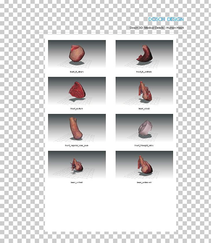 Shoe Brand PNG, Clipart, Brand, Shoe Free PNG Download