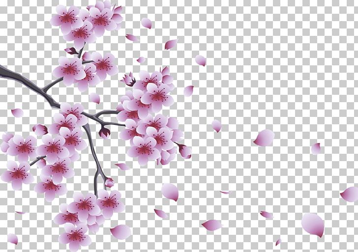 Spring PNG, Clipart, Blossom, Branch, Cherry Blossom, Computer Wallpaper, Document Free PNG Download