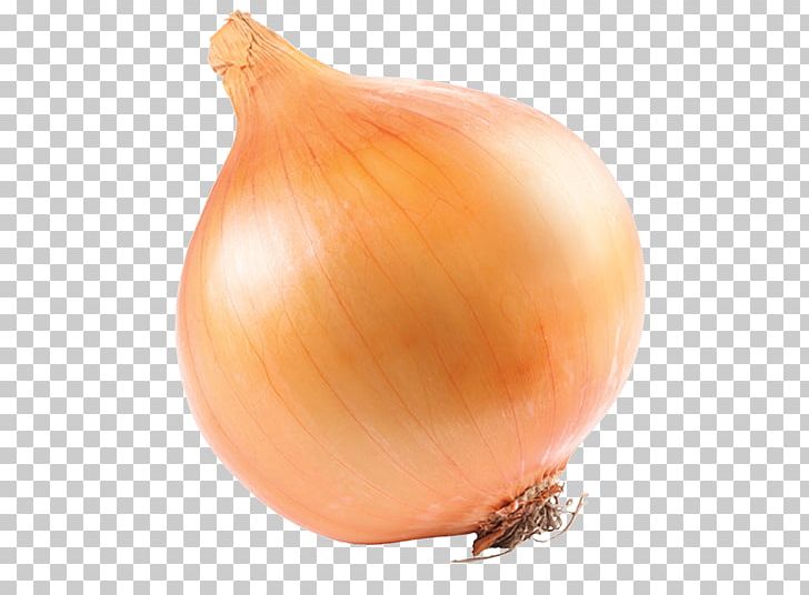 Yellow Onion Red Onion Pearl Onion White Onion PNG, Clipart, Depositphotos, Food, Garlic, Ingredient, Onion Free PNG Download