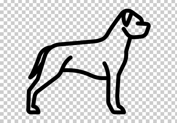 American Staffordshire Terrier Staffordshire Bull Terrier Canidae Welsh Terrier Yorkshire Terrier PNG, Clipart, Animal, Area, Black, Black And White, Breed Free PNG Download