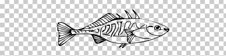 Fish Outline PNG, Clipart, Abstract, Art, Artwork, Black And White, Black Outline Of A Fish Free PNG Download