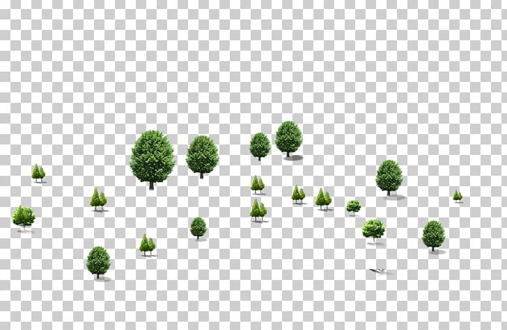 Tree 3D Computer Graphics PNG, Clipart, 3d Computer Graphics, 3d Effect, Animation, Arecaceae, Art Free PNG Download