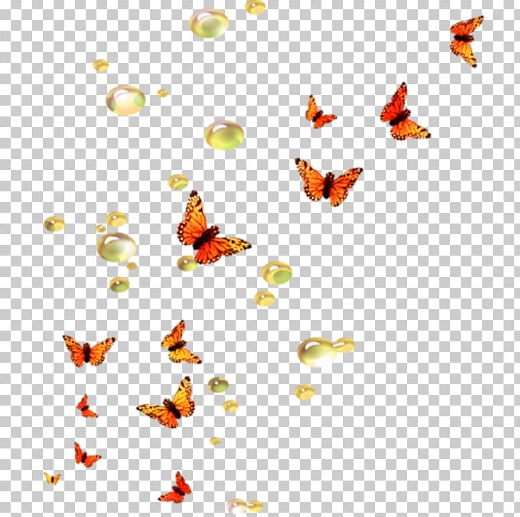 Butterfly PNG, Clipart, Animals, Butterfly, Cheetah, Computer Icons, Desktop Wallpaper Free PNG Download