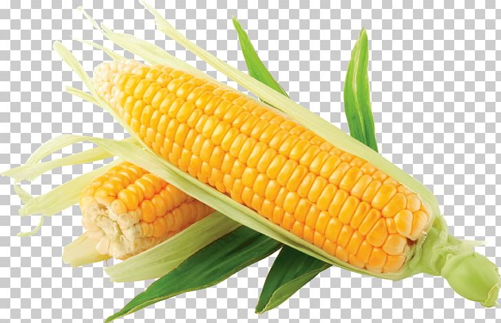Maize Corn On The Cob PNG, Clipart, Baby Corn, Beachbody, Candy Corn, Commodity, Computer Icons Free PNG Download