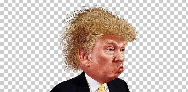 Trump Funny Hair PNG, Clipart, Celebrities, Politics, Trump Free PNG Download