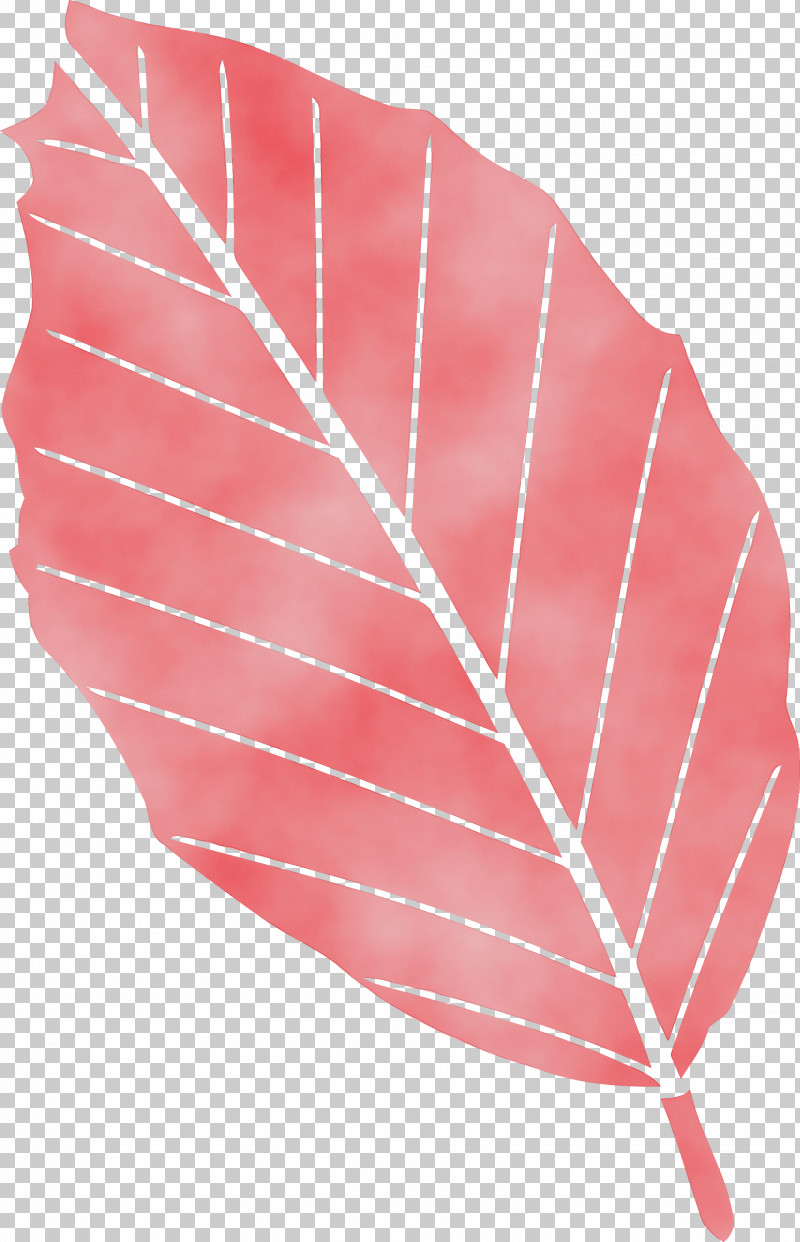 Feather PNG, Clipart, Autumn Leaf, Feather, Leaf, Line, Paint Free PNG Download