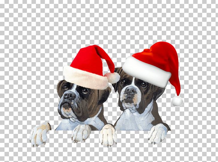 Dog Breed Puppy Boxer Santa Claus Cat PNG, Clipart, Bonnet, Boxer, Carnivoran, Cat, Christmas Free PNG Download