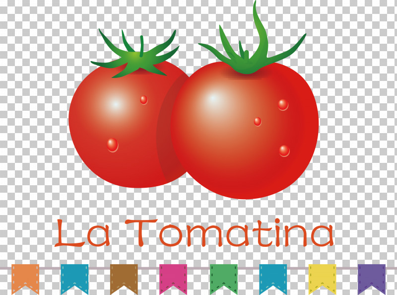 La Tomatina Tomato Throwing Festival PNG, Clipart, Bush Tomato, Datterino Tomato, La Tomatina, Local Food, Meter Free PNG Download
