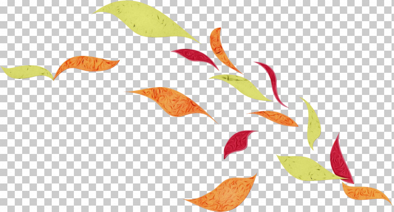 Plant Stem Leaf Line Plants Science PNG, Clipart, Biology, Leaf, Line, Paint, Plants Free PNG Download