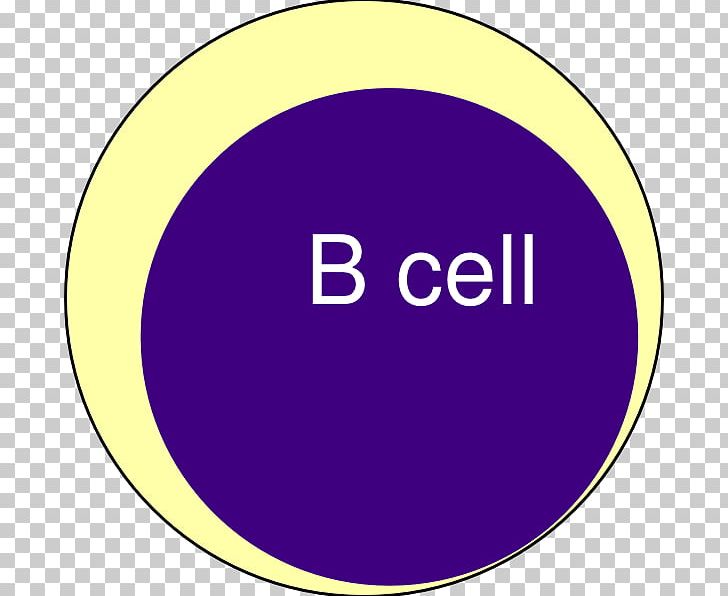 B Cell Plasma Cell Blood Plasma PNG, Clipart, Area, B Cell, Blood Cell, Blood Plasma, Brand Free PNG Download