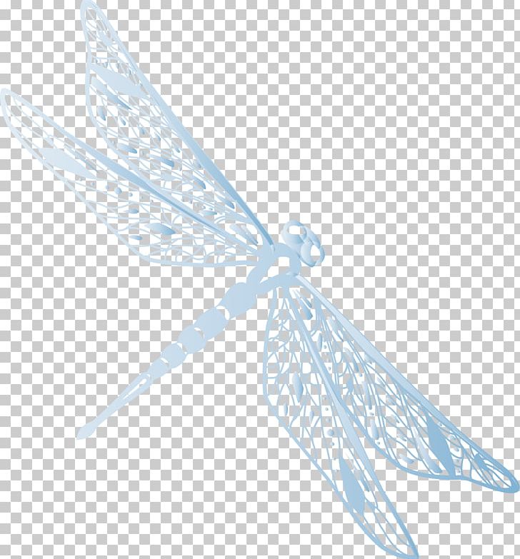 Euclidean Dragonfly PNG, Clipart, Adobe Illustrator, Cartoon, Download, Dragonfly Vector, Drawing Free PNG Download