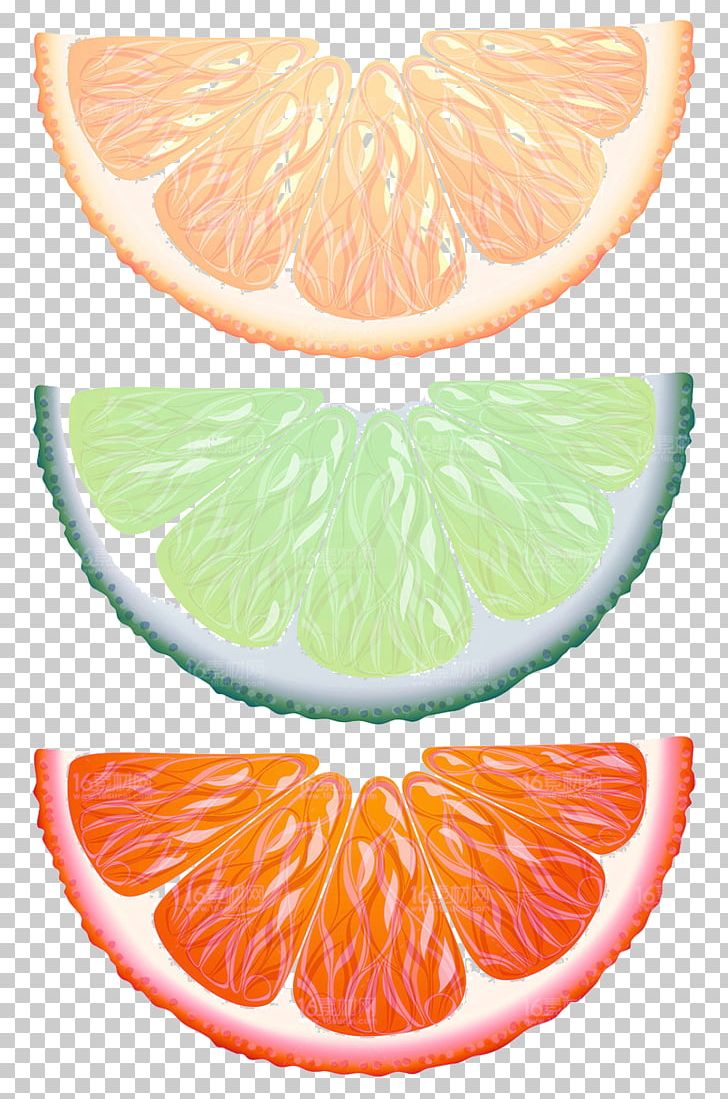 Lemon Key Lime Orange Fruit PNG, Clipart, Acid, Auglis, Cake, Cartoon, Citric Acid Free PNG Download