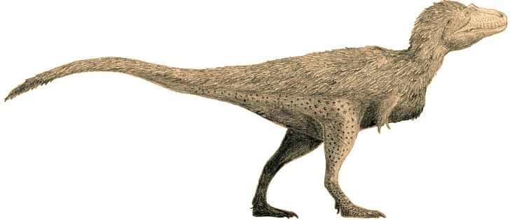 Tyrannosaurus Tyrannosauridae Lythronax Daspletosaurus Gorgosaurus PNG, Clipart, Animal Figure, Beak, Bipedalism, Coelurosauria, Daspletosaurus Free PNG Download