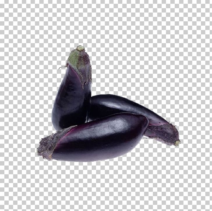 Tempura Eggplant Vegetable Beefsteak Plant Seasonal Food PNG, Clipart, Bell Pepper, Cartoon Eggplant, Cucumber, Eggplant, Eggplant Free PNG Download