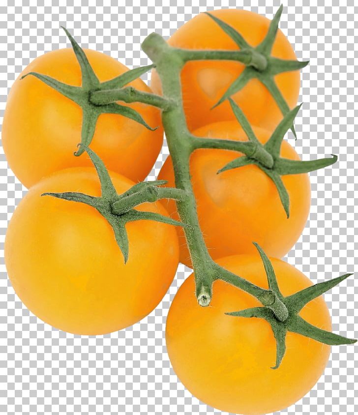 Cherry Tomato Organic Food Vegetable Fruit PNG, Clipart, Bush Tomato, Citrus, Clementine, Eating, Food Free PNG Download