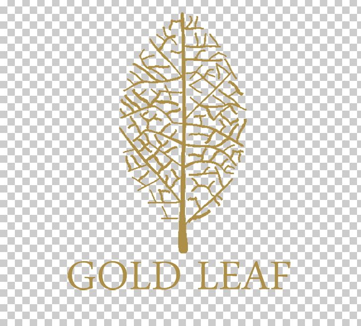 St. Clair College Tree Leaf Twig Font PNG, Clipart, College, Leaf, Line, Nature, St Clair College Free PNG Download