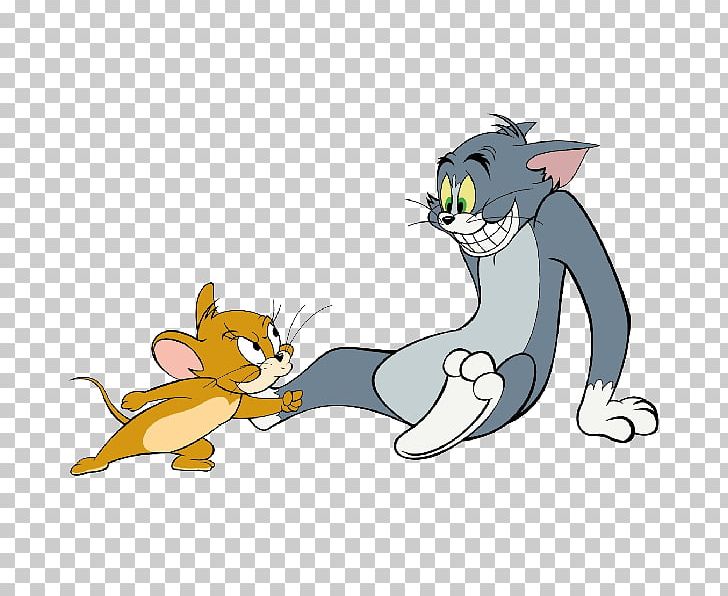 Tom Cat Tom And Jerry Cartoon PNG, Clipart, Carnivoran, Cat, Cat Like Mammal, Desktop Wallpaper, Display Free PNG Download