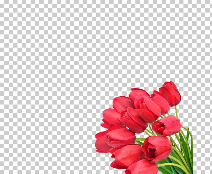 Flower Bouquet Tulip Cut Flowers PNG, Clipart, Cut Flowers, Desktop Wallpaper, Floral Design, Floristry, Flower Free PNG Download